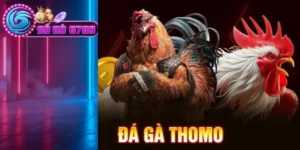 Cách chơi đá gà Thomo Sodo6789