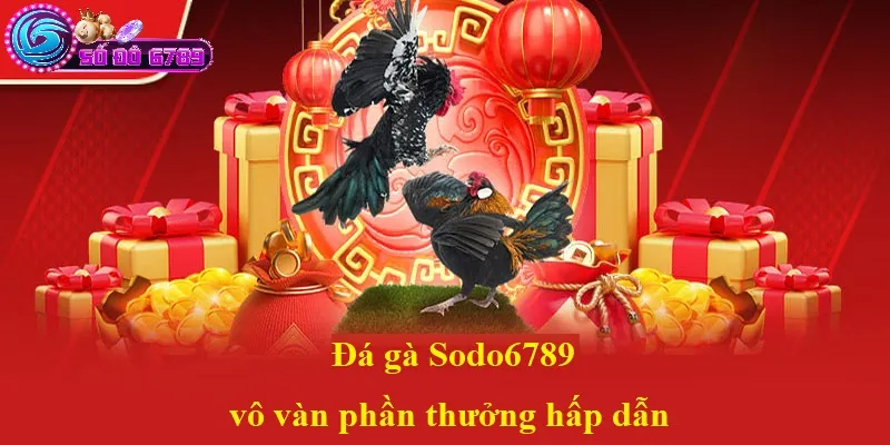 Đá gà Sodo6789 vô vàn phần thưởng hấp dẫn Đá gà Sodo6789 vô vàn phần thưởng hấp dẫn