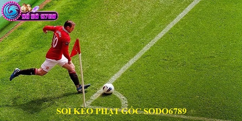 Soi kèo phạt góc tại Sodo6789