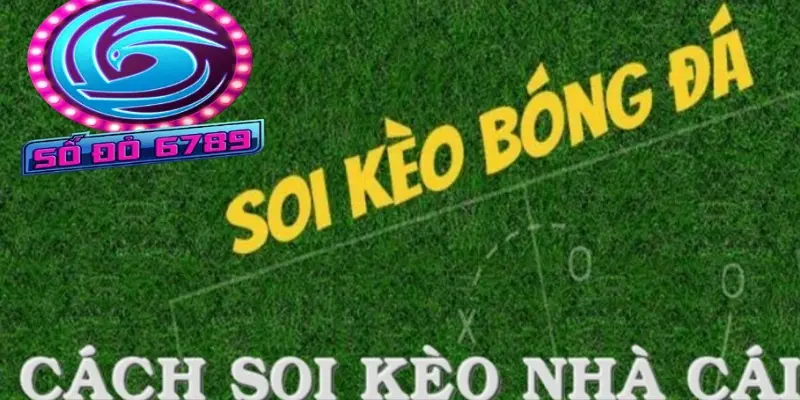 Việc soi kèo vô cùng cần thiết giúp bạn dự đoán chính xác Việc soi kèo vô cùng cần thiết giúp bạn dự đoán chính xác